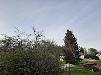 Olešná