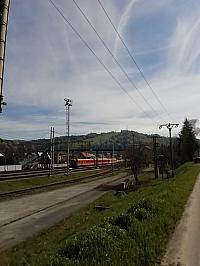 Skalité