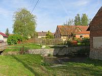 Třibřichy