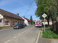 Třibřichy