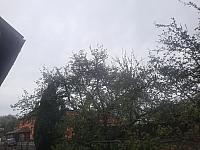 Olešná