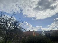 Olešná