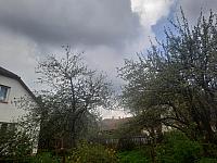 Olešná