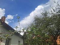 Olešná