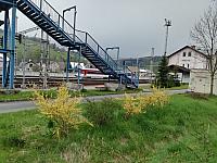 Skalité