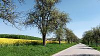 Lukovany