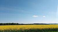 Lukovany