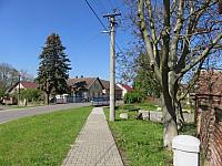 Třibřichy