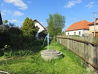 Třibřichy