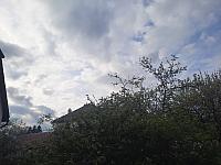 Olešná