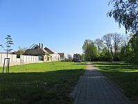 Třibřichy