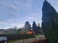 Olešná