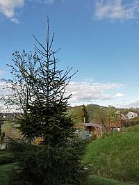 Skalité