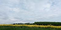 Lukovany