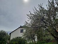 Olešná