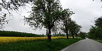 Lukovany