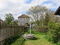 Třibřichy