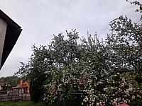 Olešná
