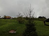 Skalité
