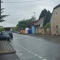 Třibřichy