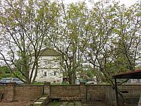 Třibřichy