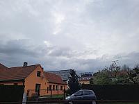 Olešná