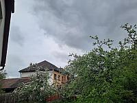 Olešná