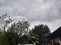 Olešná