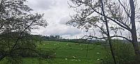 Holčovice