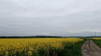 Lukovany