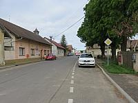 Třibřichy