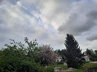 Olešná