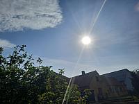 Olešná