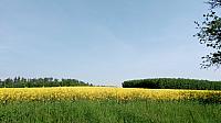 Lukovany
