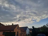 Olešná
