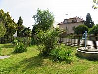 Třibřichy