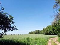 Lukovany