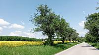 Lukovany