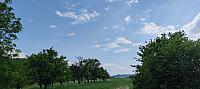 Rybí