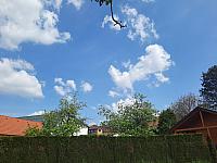 Olešná