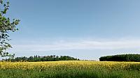 Lukovany