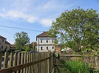 Třibřichy