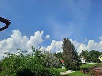 Olešná