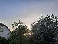 Olešná
