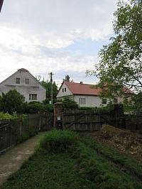 Třibřichy