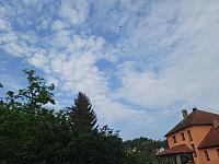 Olešná