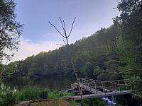 Olešná