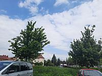 Jihlava