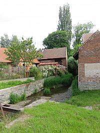 Třibřichy