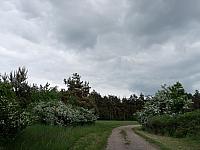 Lukovany